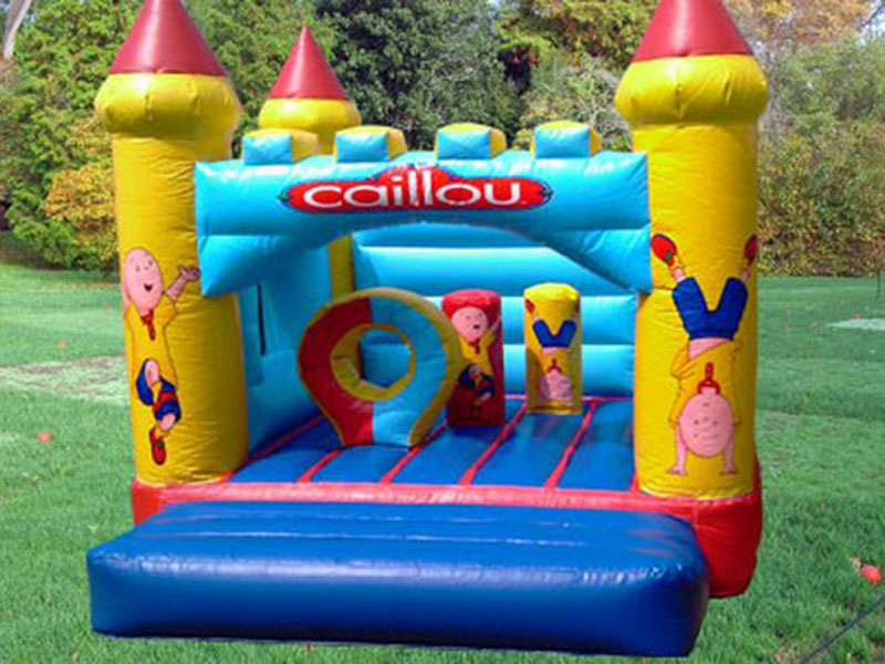 Mini Party Castle Bouncer