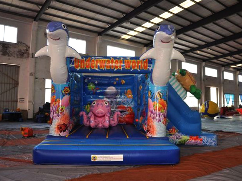 Underwater World Bouncer