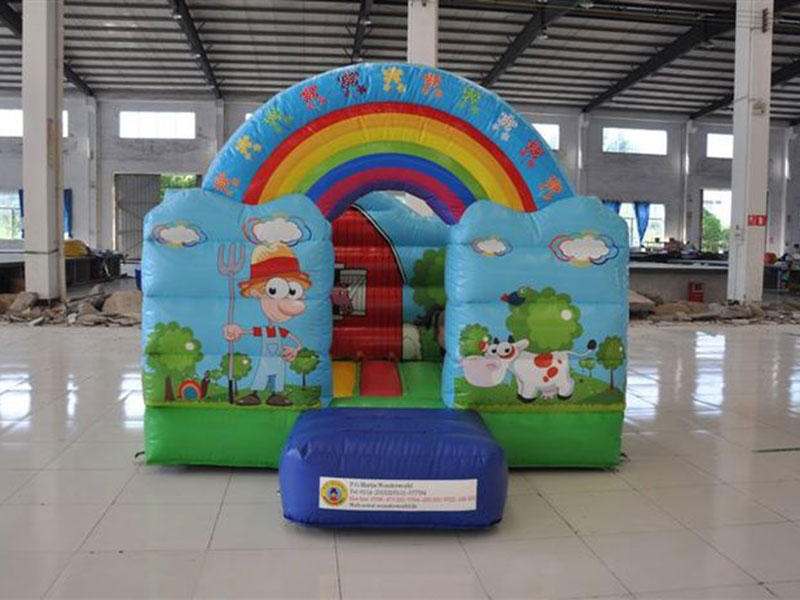 Rainbow Bouncer