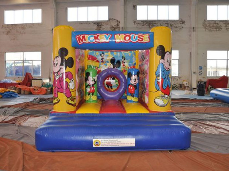 Mickey Mouse Bouncer