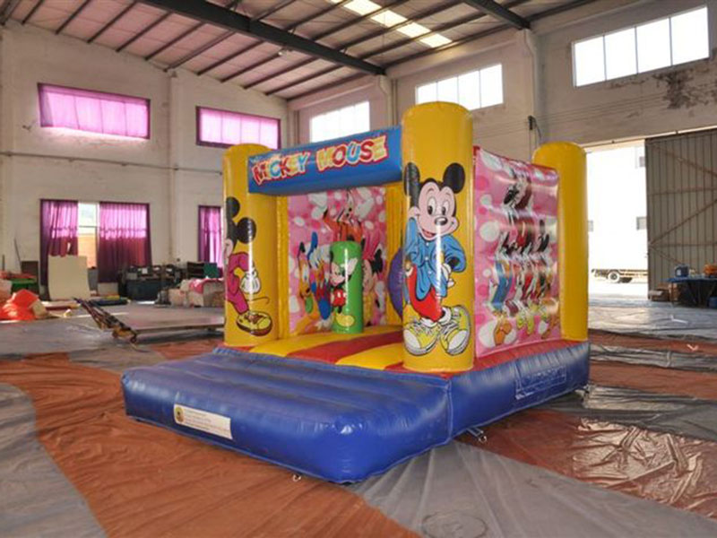 Mickey Mouse Bouncer